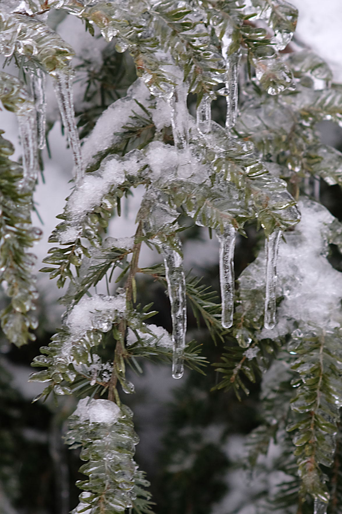 20210214_MET_ICE_BB02